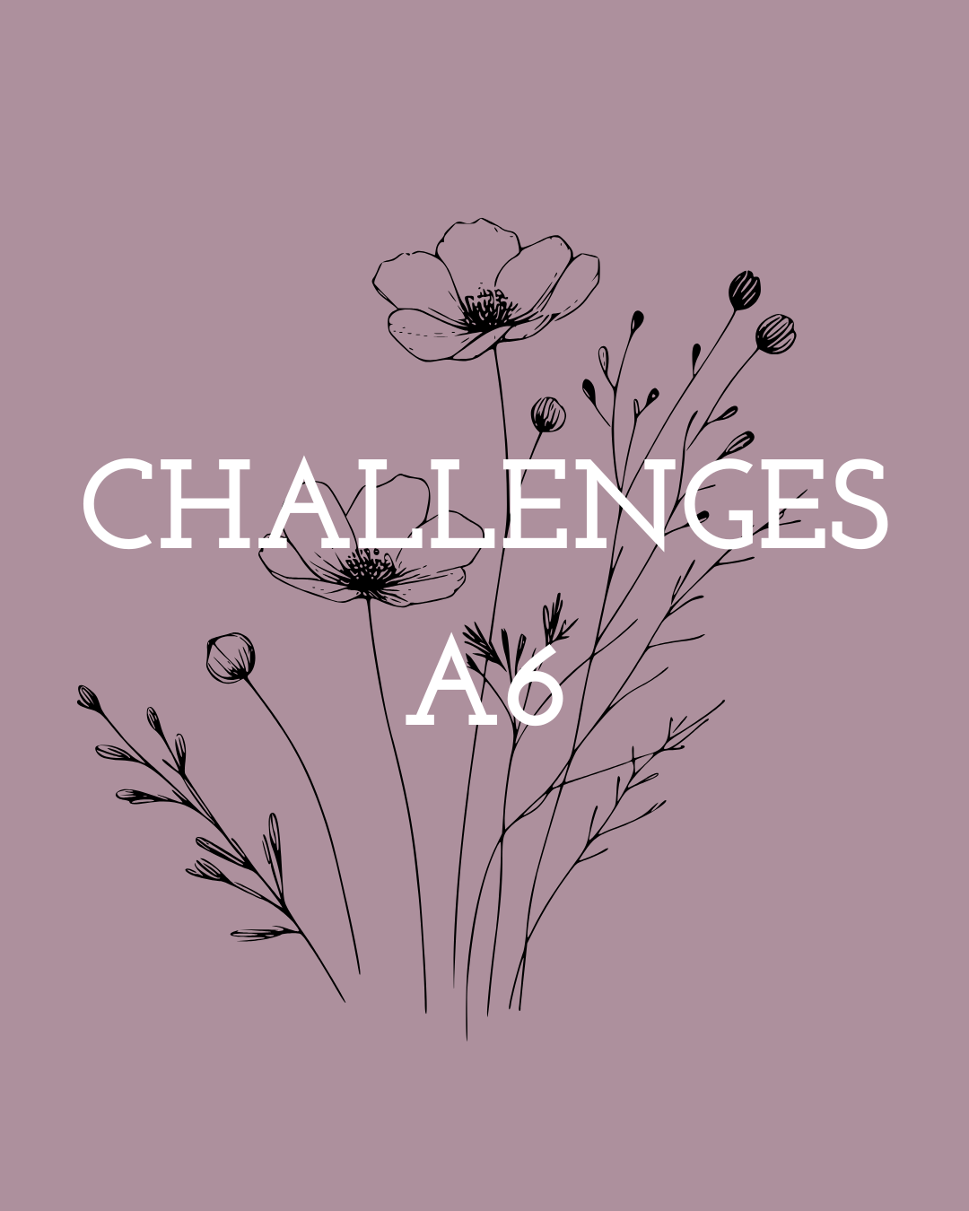 Cashstuffing - Challenges A6