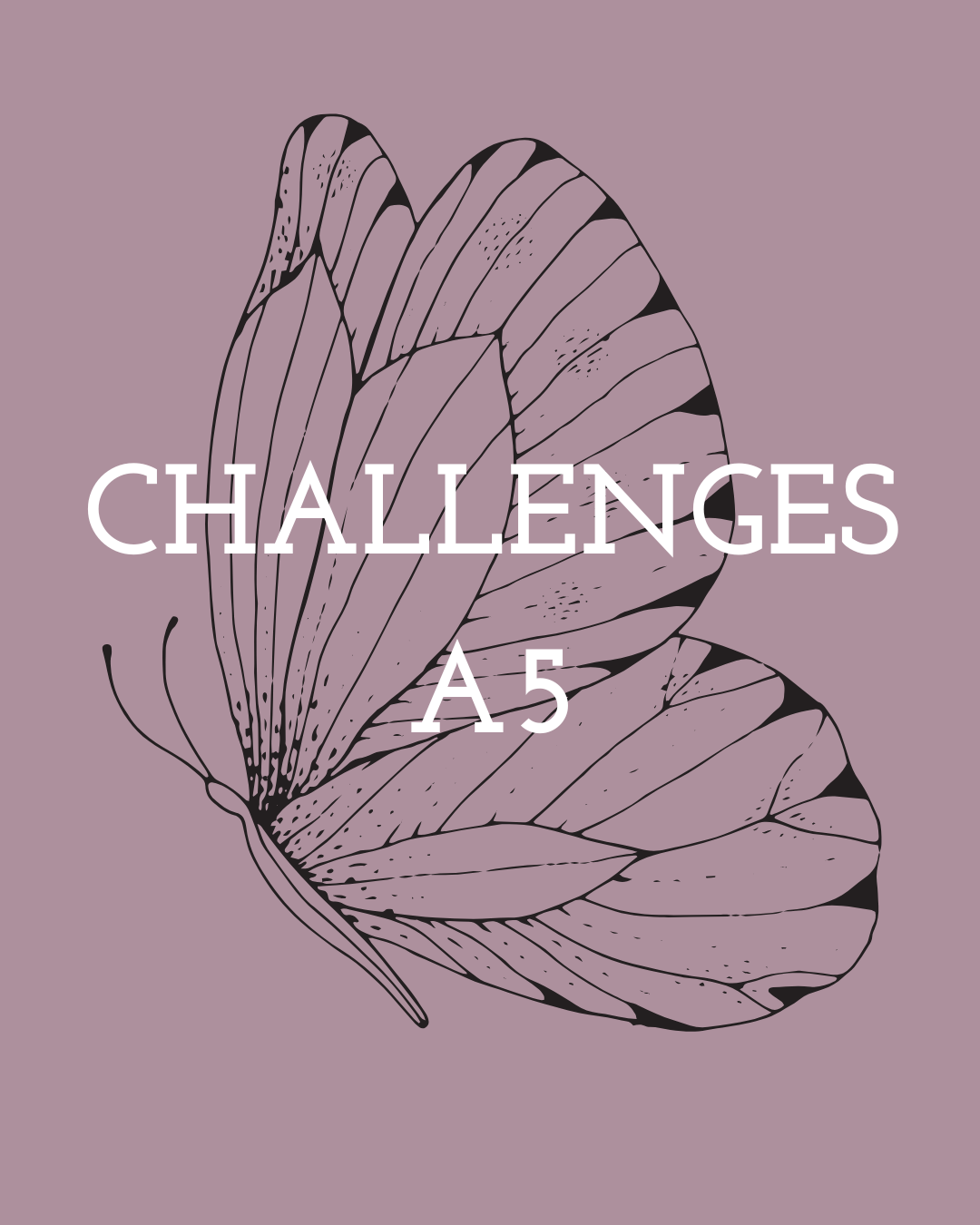 Cashstuffing - Challenges A5
