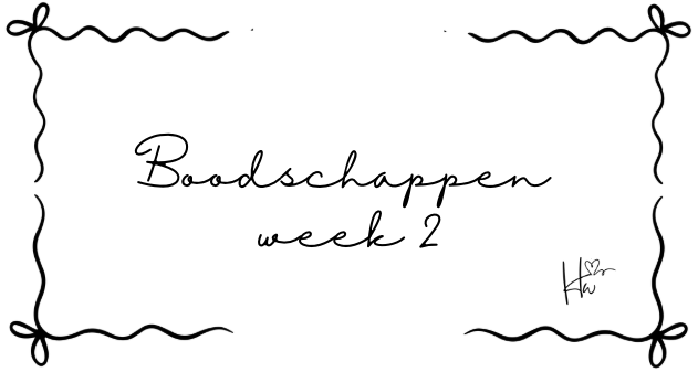Insert Boodschappen set strik (6 stuks!)