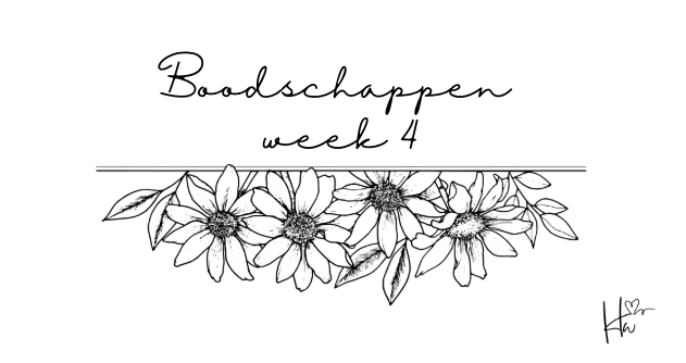 Insert Boodschappen set strik (6 stuks!)