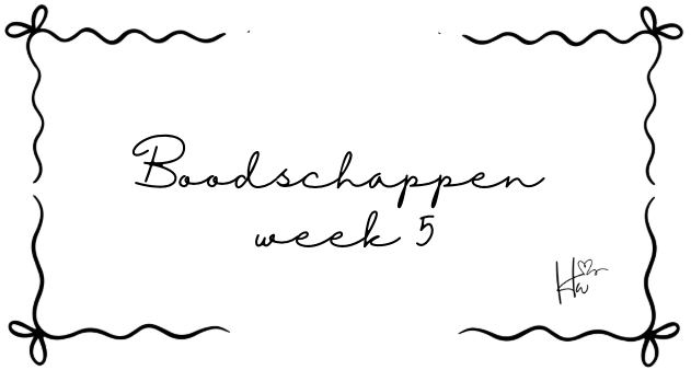 Insert Boodschappen set strik (6 stuks!)