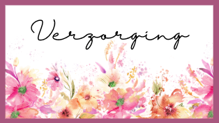 Insert Verzorging - Bloem