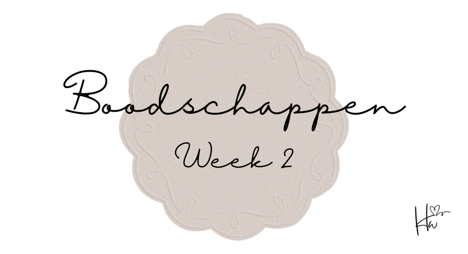Insert  Boodschappen set Beige (9 stuks!)