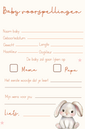 Invulkaart A5 Babyshower Konijntje - Set van 10 🍼✨