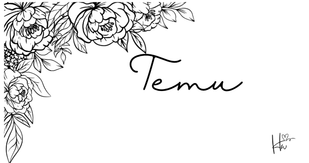 Insert Temu - Zwart & Wit